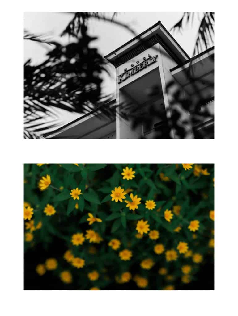 Marcia Adams, Efjay De Leon Photography